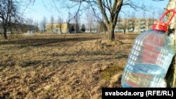 Паводле вяскоўцаў,выкарчоўваць зьбіраюцца ня толькі сады, але і бярозы. Бярозавік ля агародаў зьбіраюць, відаць, апошні год.