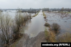 Дарога да парому праз Прыпяць