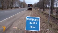 Гомельшчына: сячэ, забыўшыся, рука