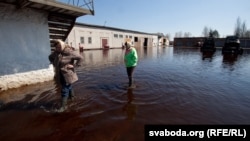 Вясновая паводка на Палесьсі